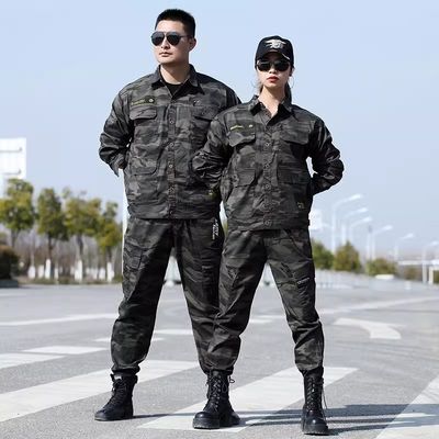 中東市場向けに最適